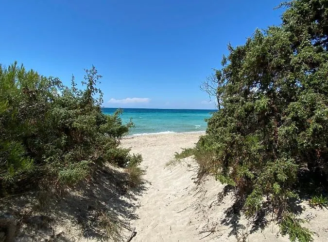 La Fenice Sulla Apartment